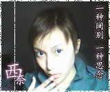 照片5