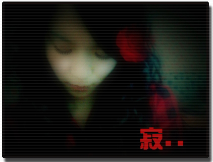 照片8